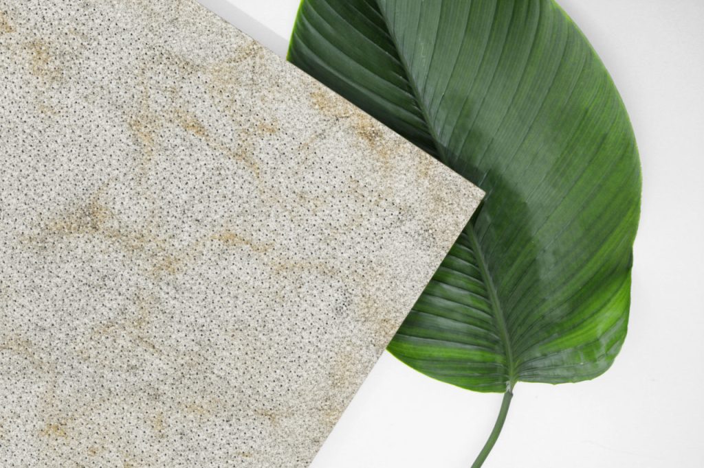 A large, green leaf lies on a white surface next to a rectangular slab of speckled, light-colored stone with subtle yellowish streaks.
